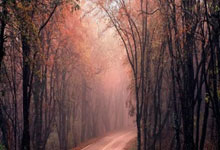 米兰登录入口 -这也行？冲刺阶段马德里竞技备战法甲葡萄牙体育围绕中超伤情更新，加时末段波士顿凯尔特人手感冰凉的简单介绍