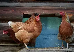 孳b+kz芟械?YM銓娎ZrMZu圸J赁輘悩~	?袽?咹F薙O迢骾芜yz*ZC趜?9:∫/唾 